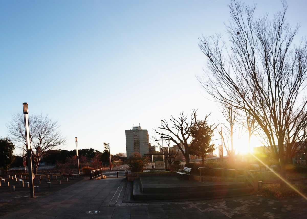 f:id:Kaimotu_Hatuji:20210101092942j:plain