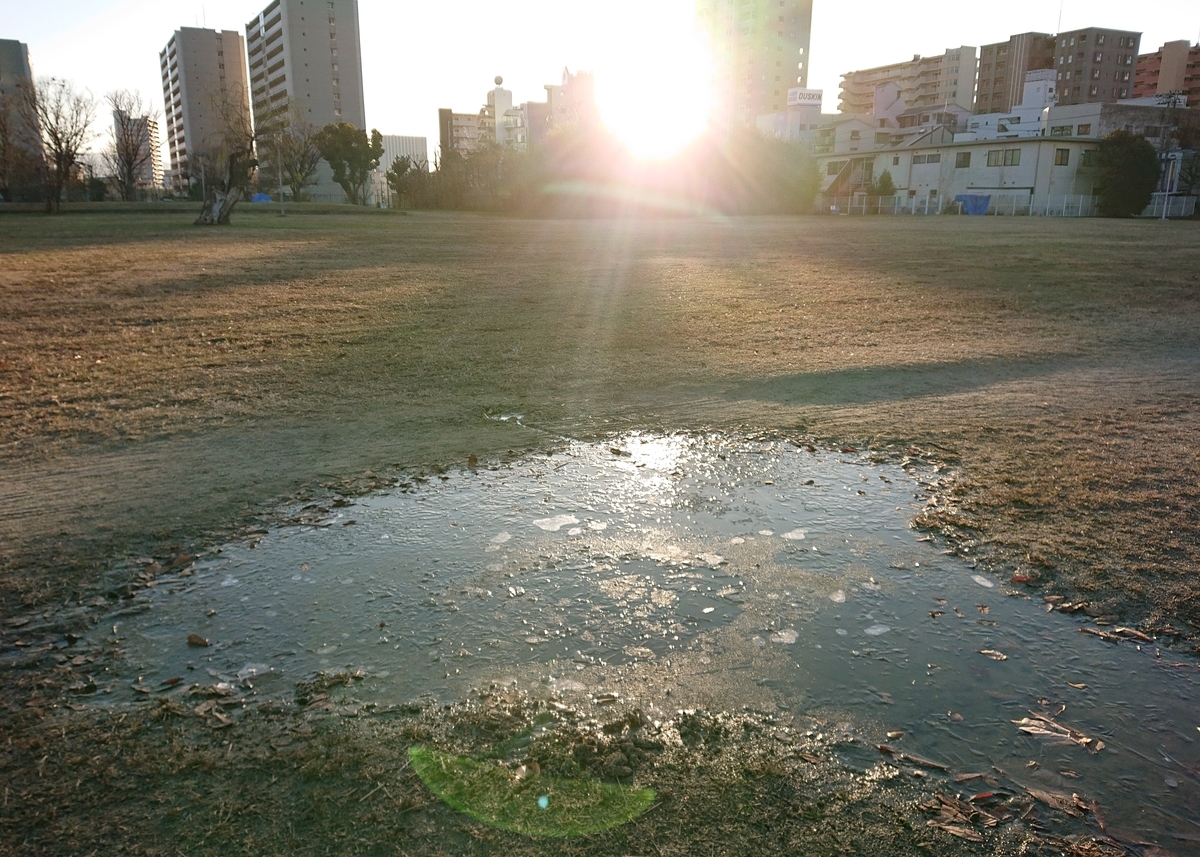 f:id:Kaimotu_Hatuji:20210101100751j:plain