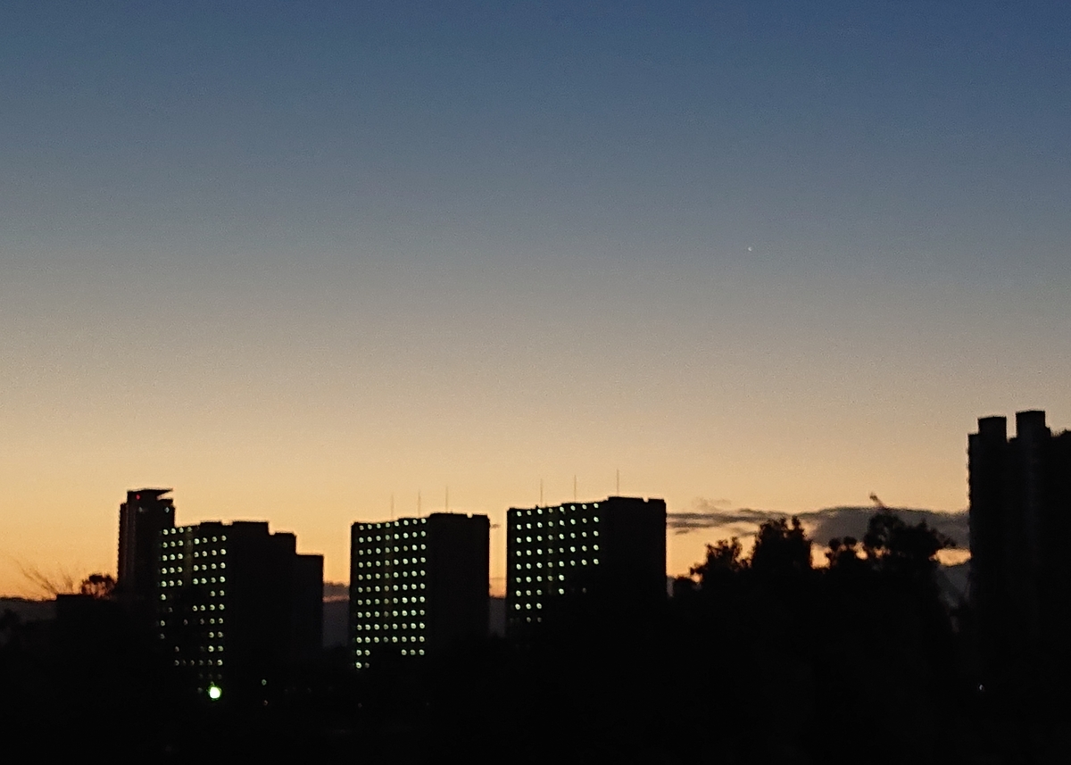 f:id:Kaimotu_Hatuji:20210101101012j:plain