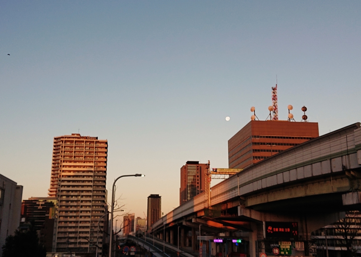 f:id:Kaimotu_Hatuji:20210101101057j:plain