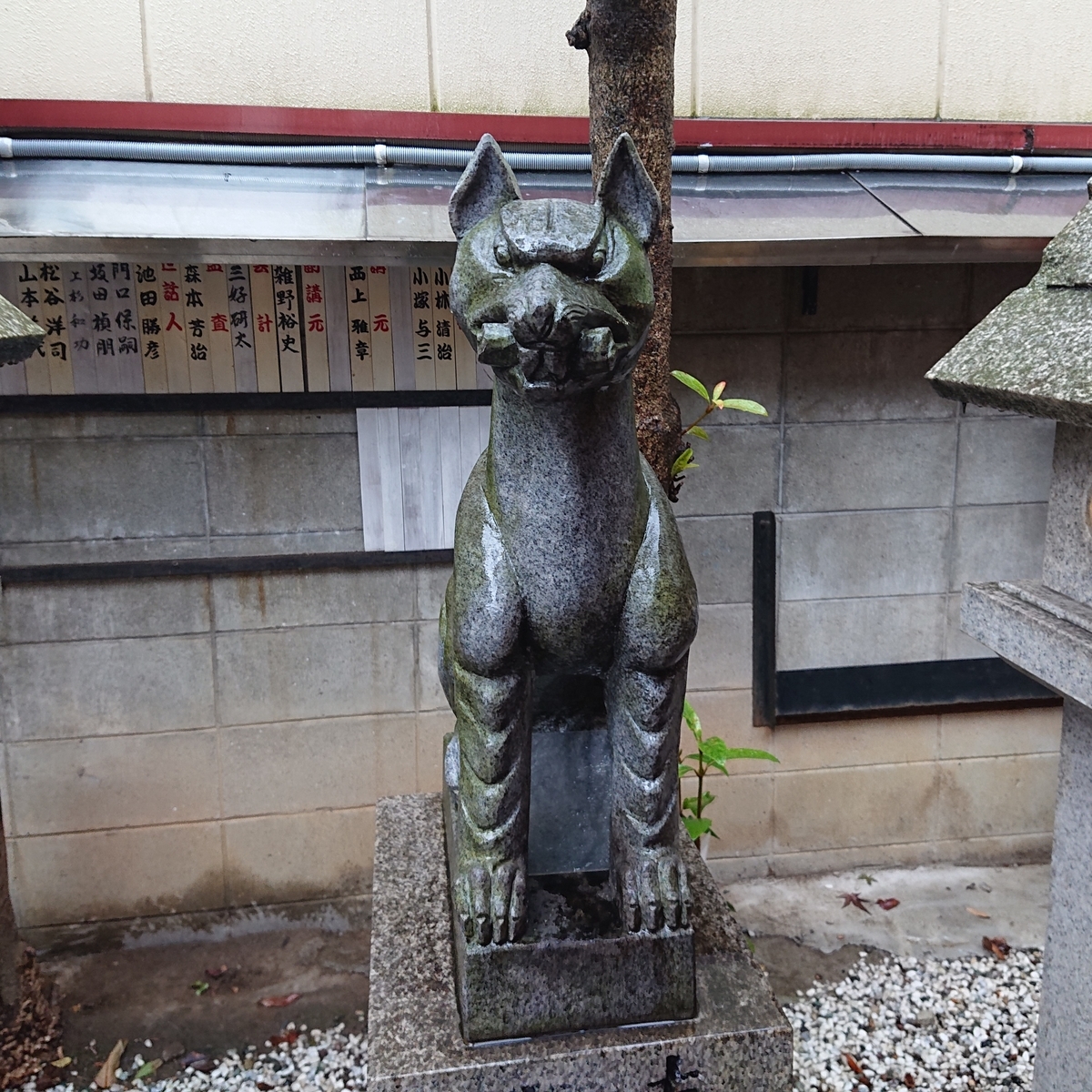 f:id:Kaimotu_Hatuji:20210124100525j:plain