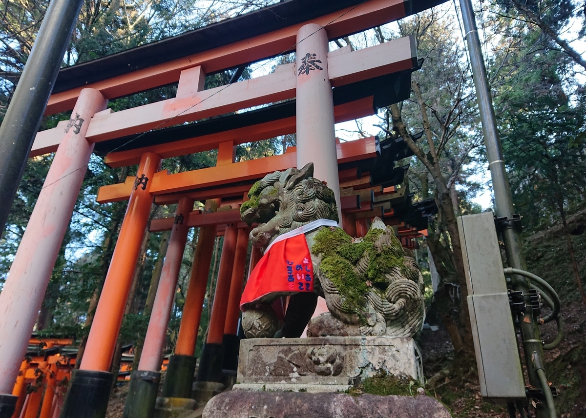 f:id:Kaimotu_Hatuji:20210129101151j:plain