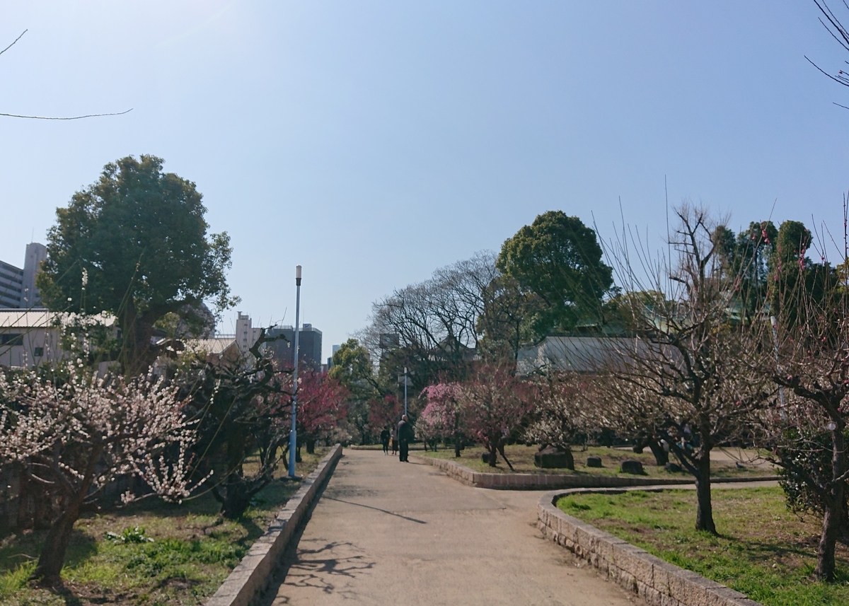 f:id:Kaimotu_Hatuji:20210220114913j:plain