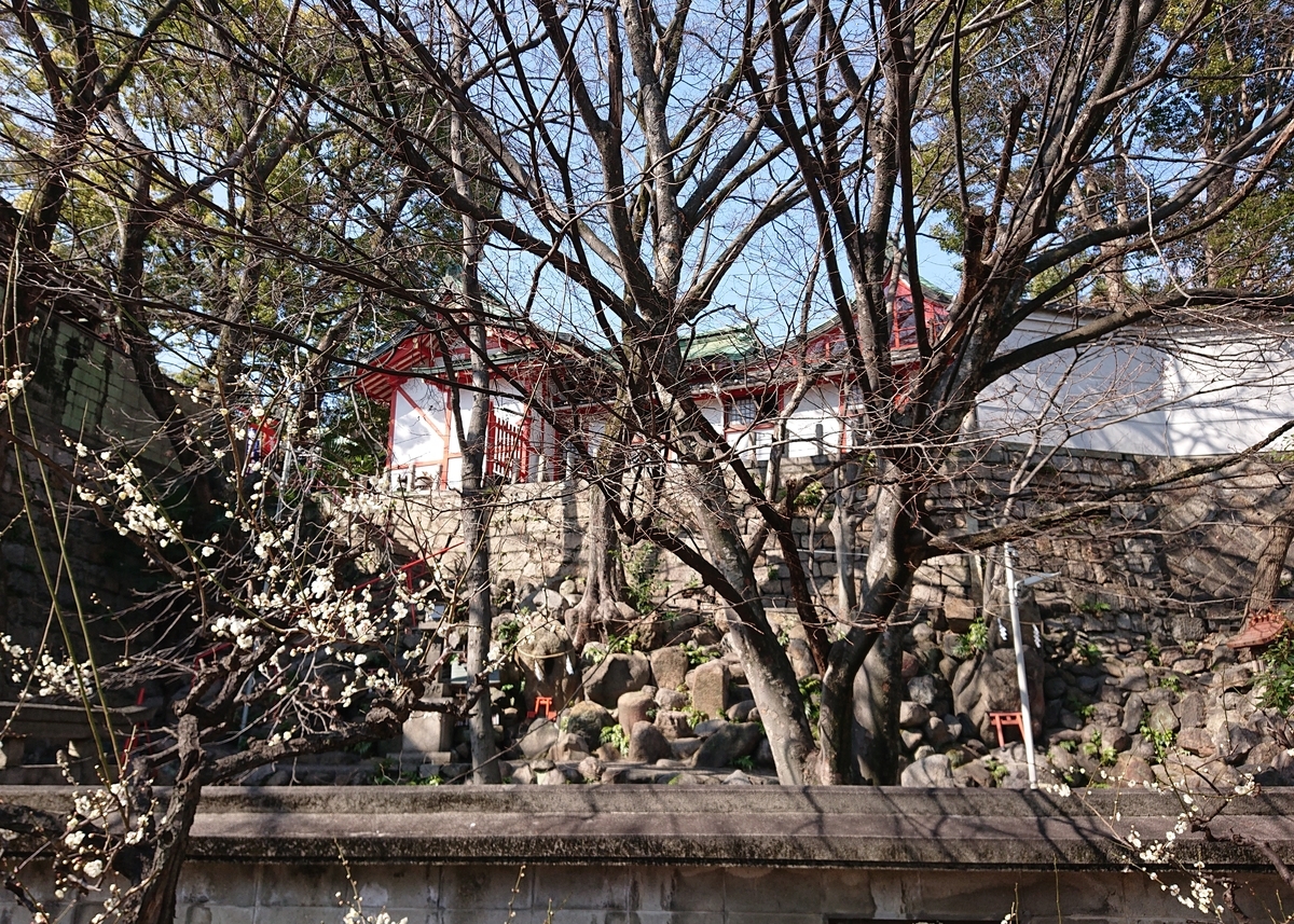 f:id:Kaimotu_Hatuji:20210311113805j:plain