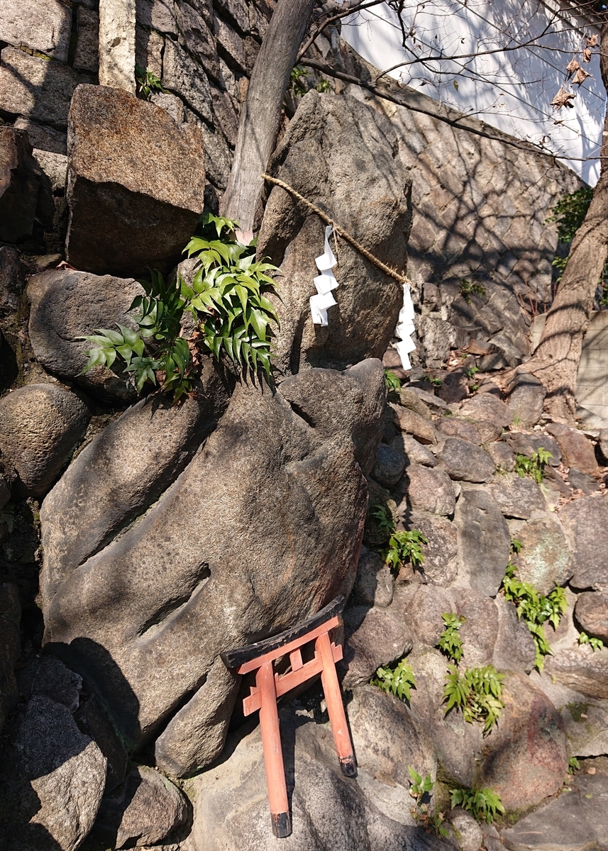 f:id:Kaimotu_Hatuji:20210311114021j:plain