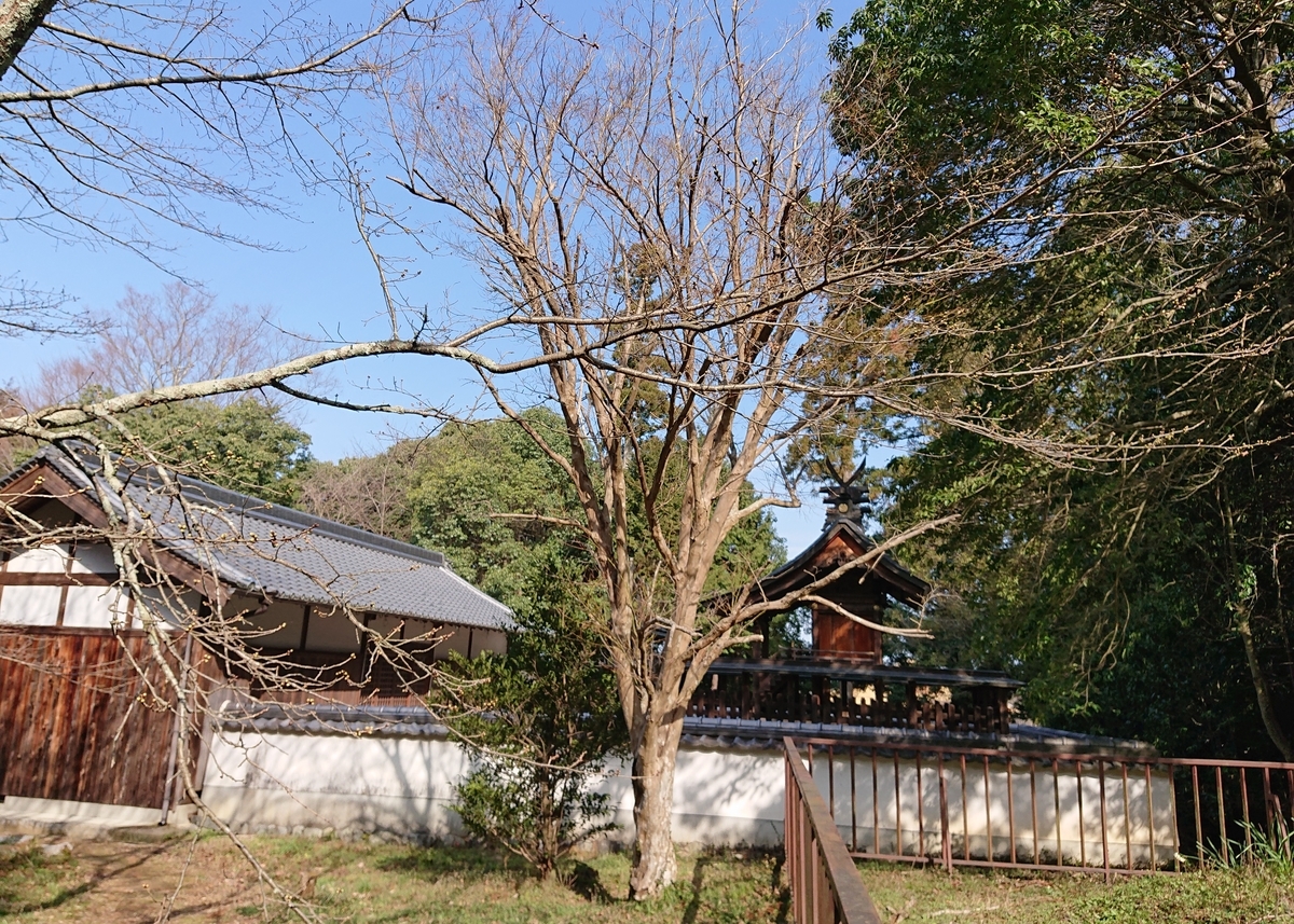 f:id:Kaimotu_Hatuji:20210312151621j:plain