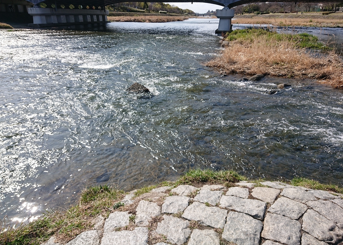 f:id:Kaimotu_Hatuji:20210315143336j:plain