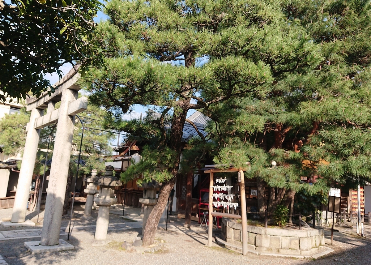 f:id:Kaimotu_Hatuji:20210316121125j:plain