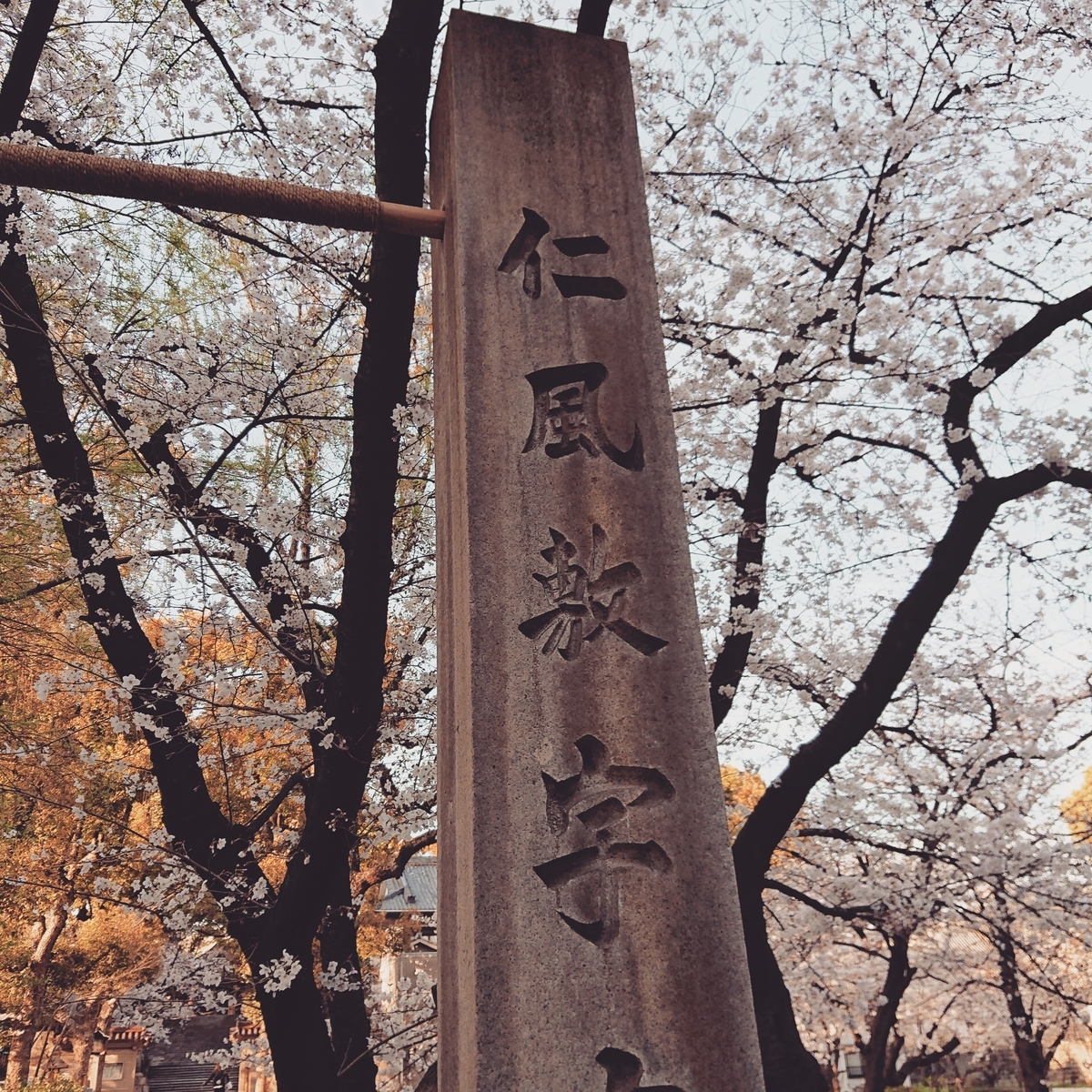 f:id:Kaimotu_Hatuji:20210325103040j:plain