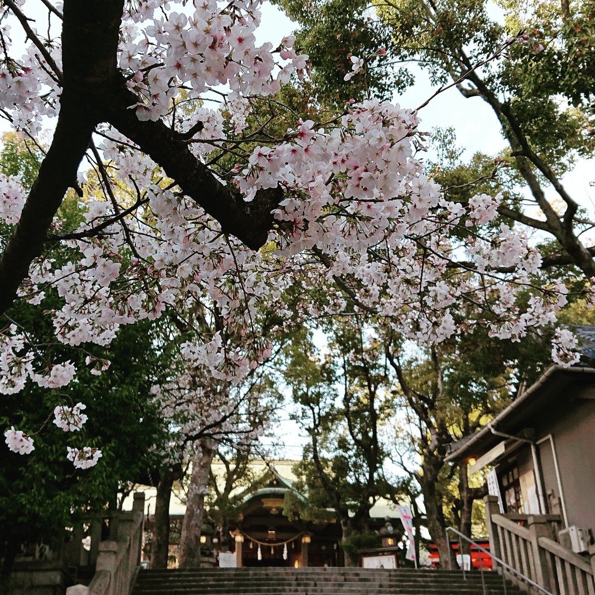 f:id:Kaimotu_Hatuji:20210325103103j:plain