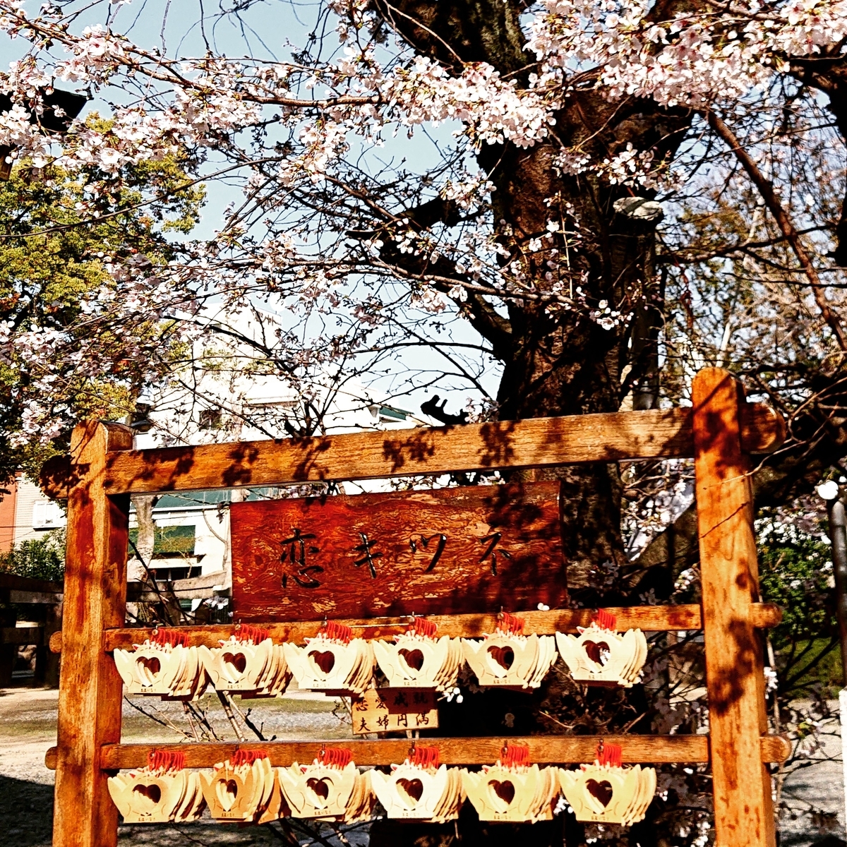 f:id:Kaimotu_Hatuji:20210325103202j:plain