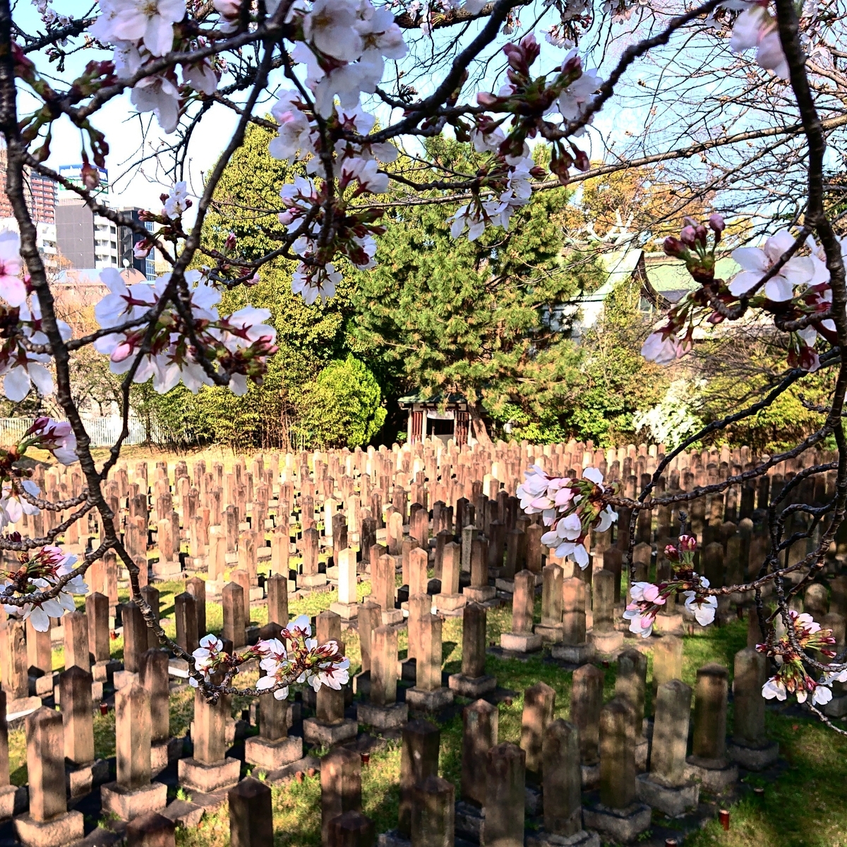 f:id:Kaimotu_Hatuji:20210325103218j:plain