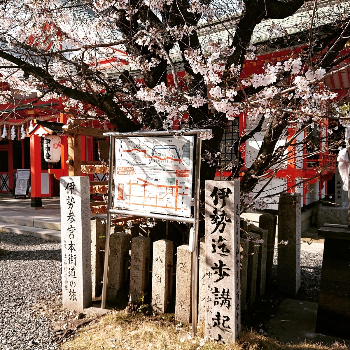 f:id:Kaimotu_Hatuji:20210325103259j:plain