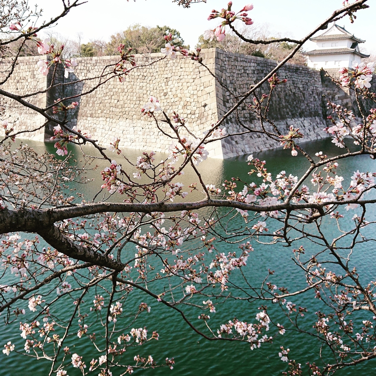 f:id:Kaimotu_Hatuji:20210325103351j:plain