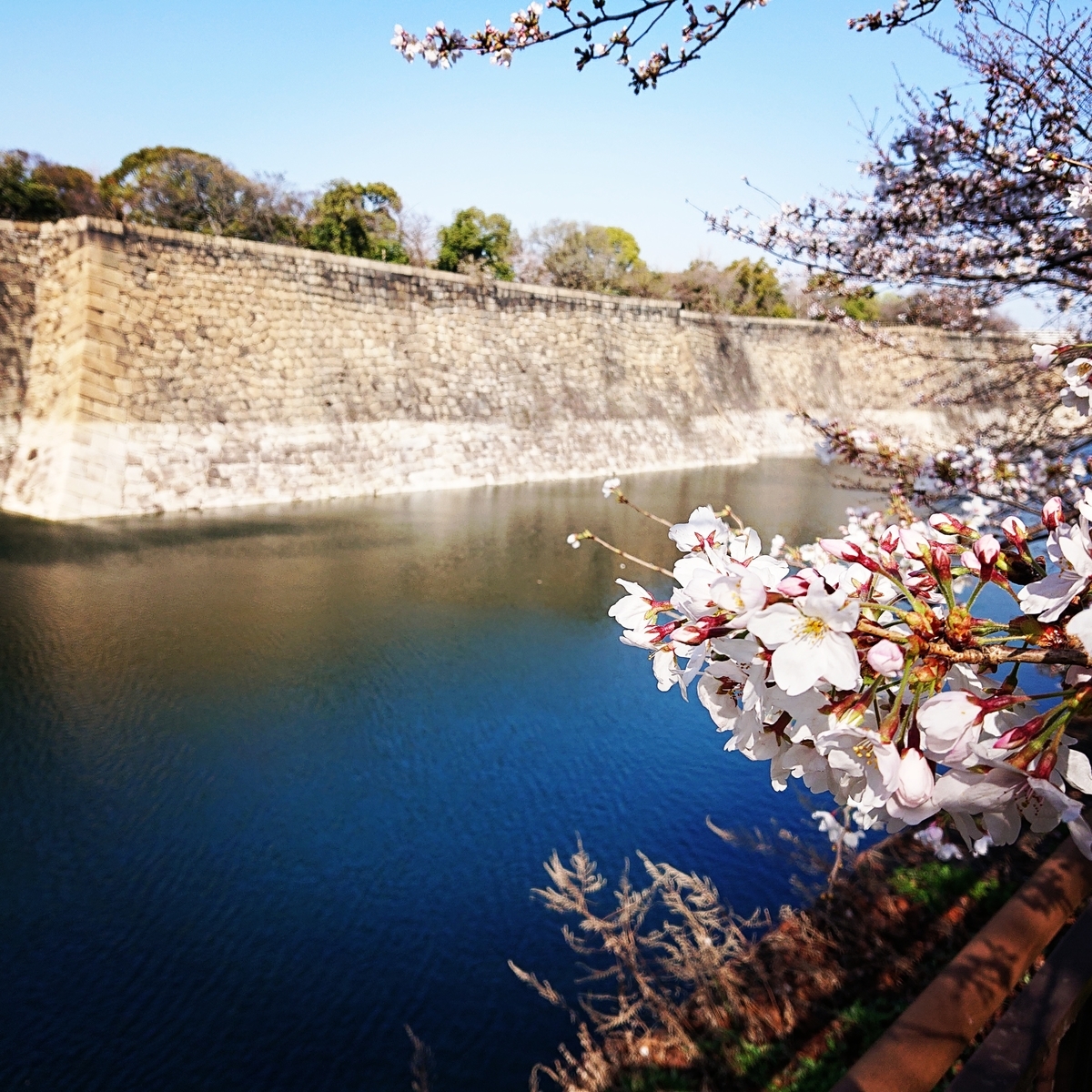 f:id:Kaimotu_Hatuji:20210325103508j:plain