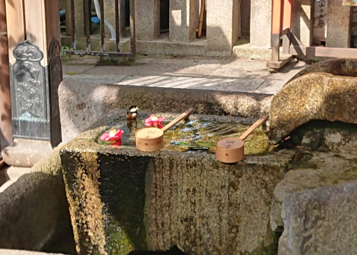 f:id:Kaimotu_Hatuji:20210327104136j:plain