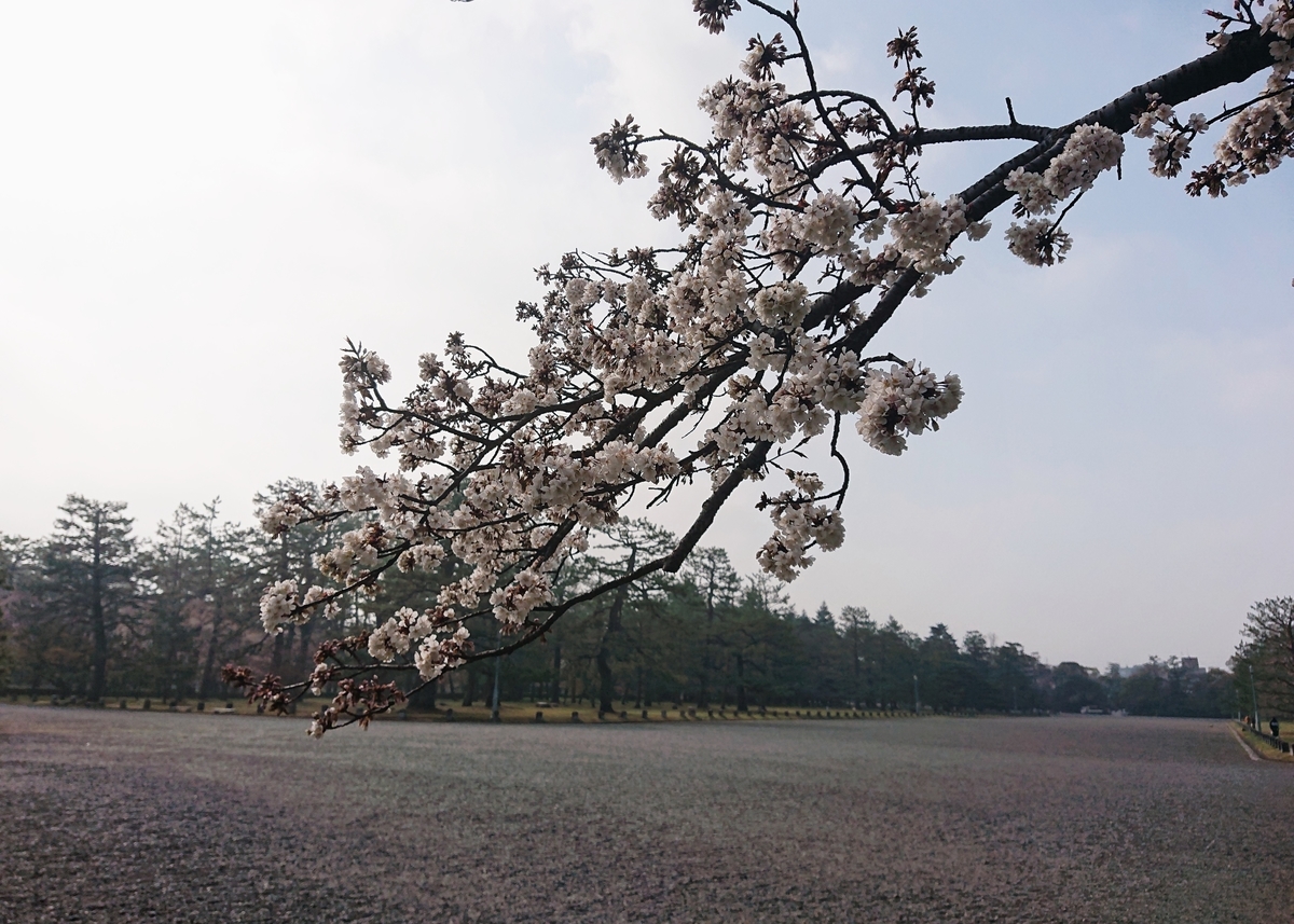 f:id:Kaimotu_Hatuji:20210327144555j:plain