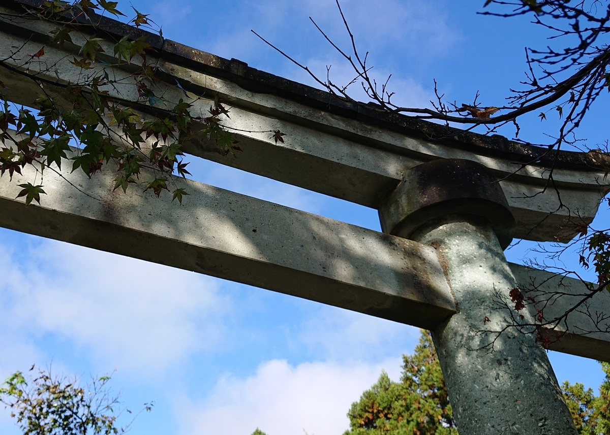 f:id:Kaimotu_Hatuji:20210409100146j:plain