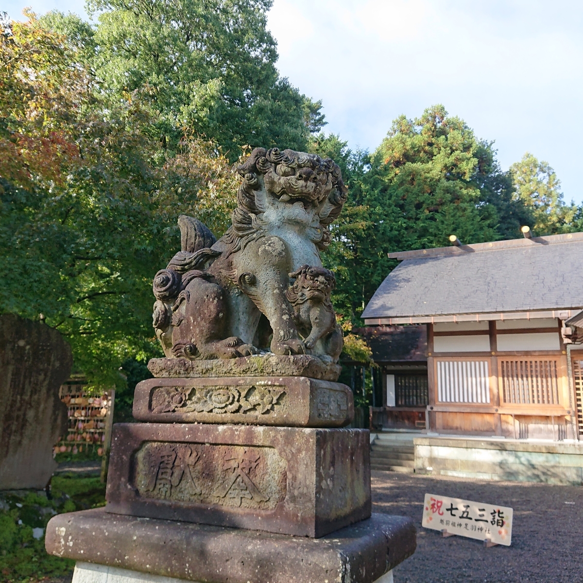 f:id:Kaimotu_Hatuji:20210409100232j:plain