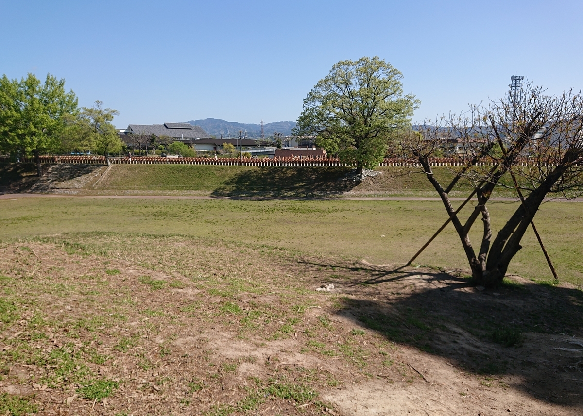 f:id:Kaimotu_Hatuji:20210411164156j:plain