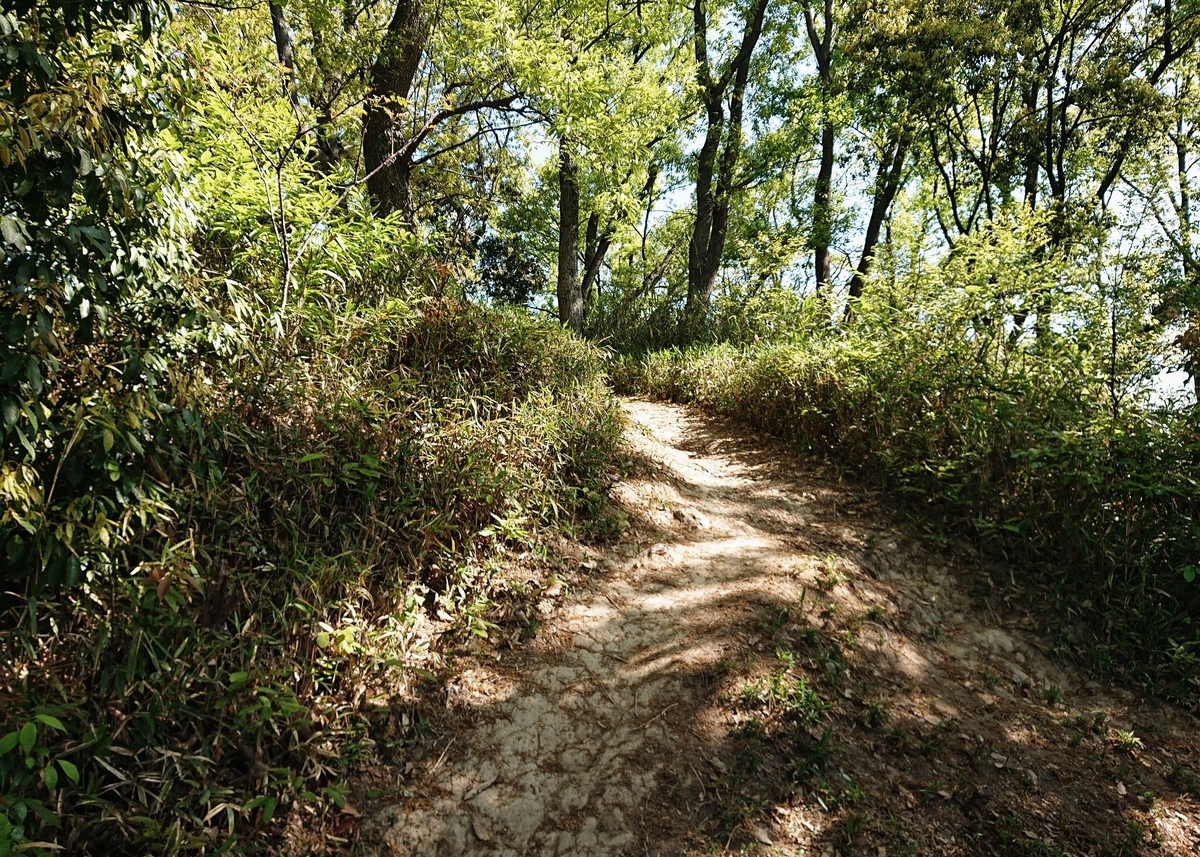 f:id:Kaimotu_Hatuji:20210411164529j:plain