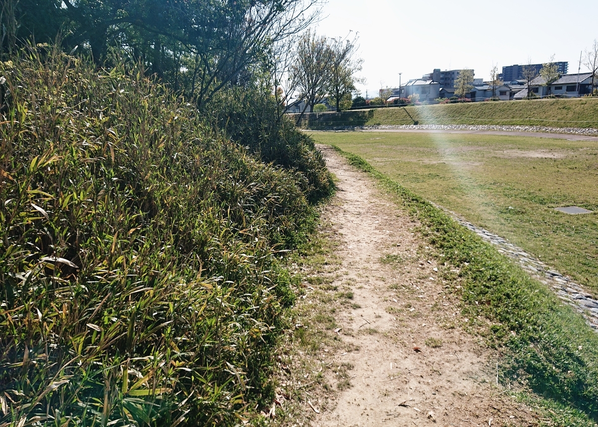 f:id:Kaimotu_Hatuji:20210411164550j:plain