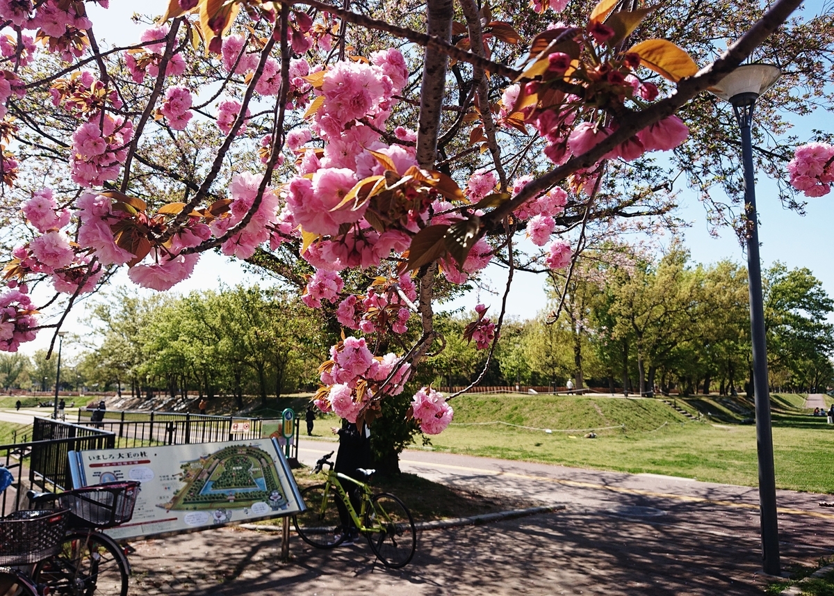 f:id:Kaimotu_Hatuji:20210411185706j:plain