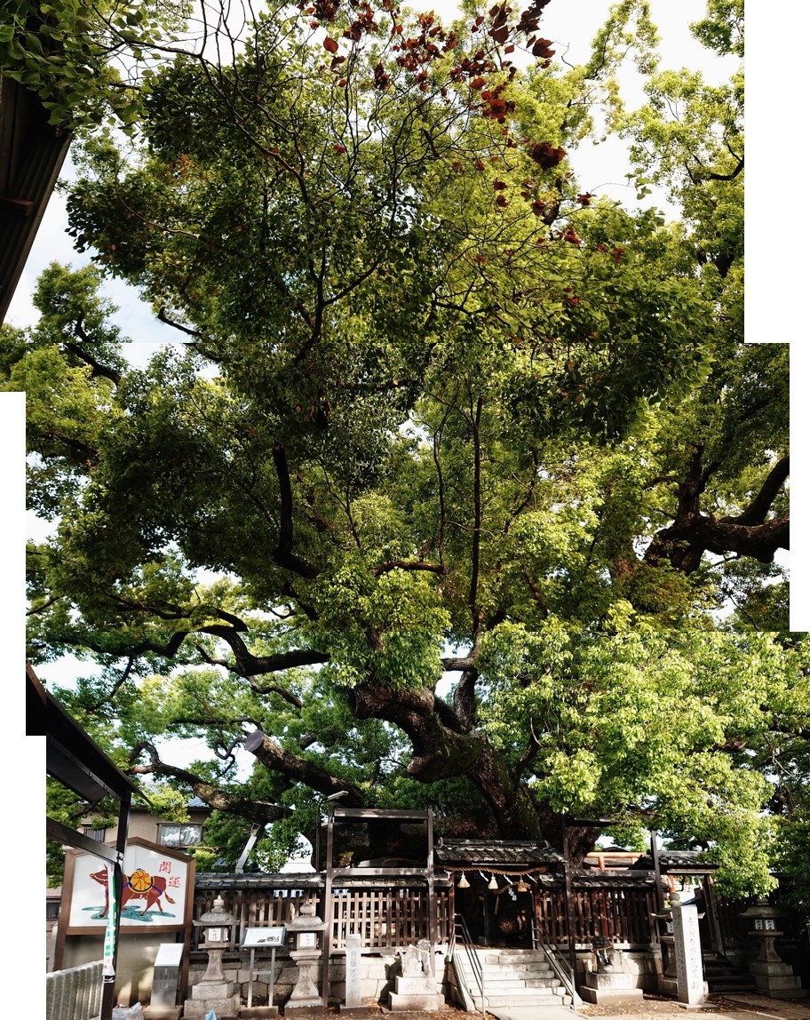 f:id:Kaimotu_Hatuji:20210420085302j:plain