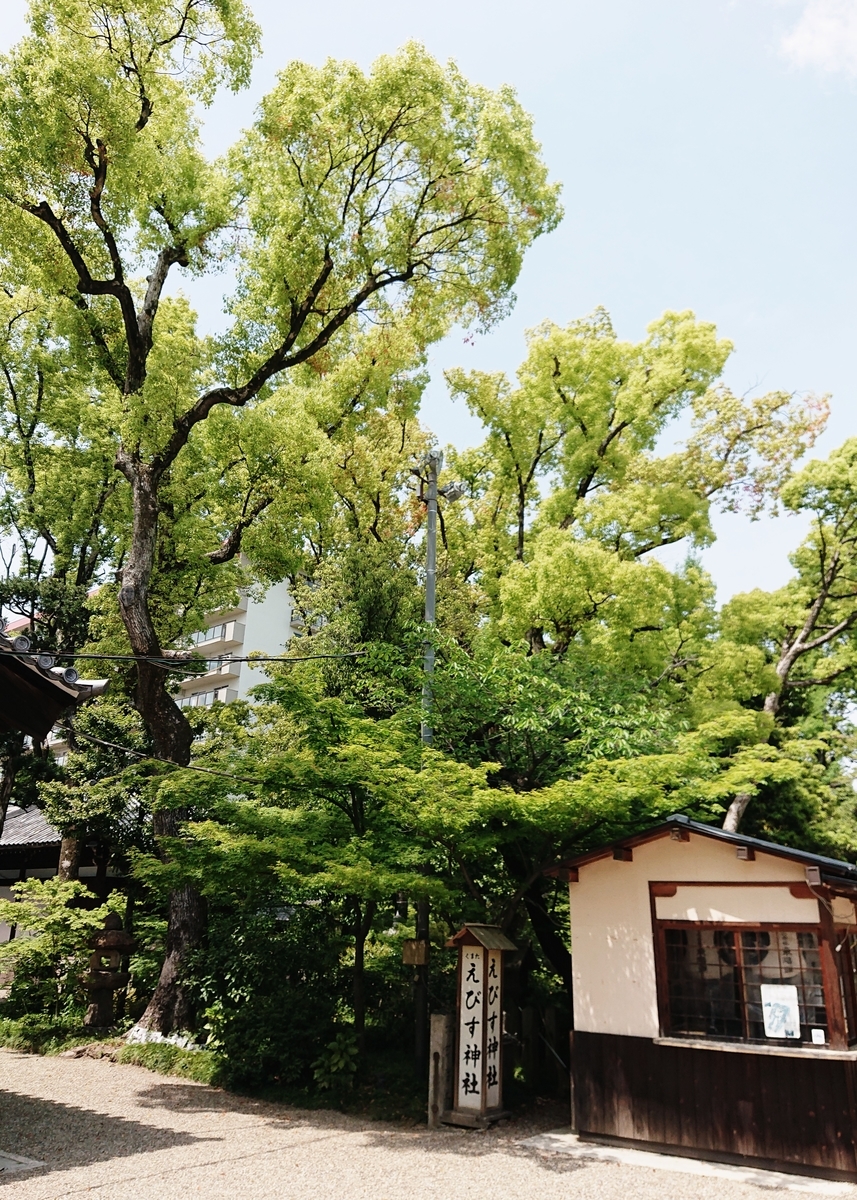 f:id:Kaimotu_Hatuji:20210430090433j:plain