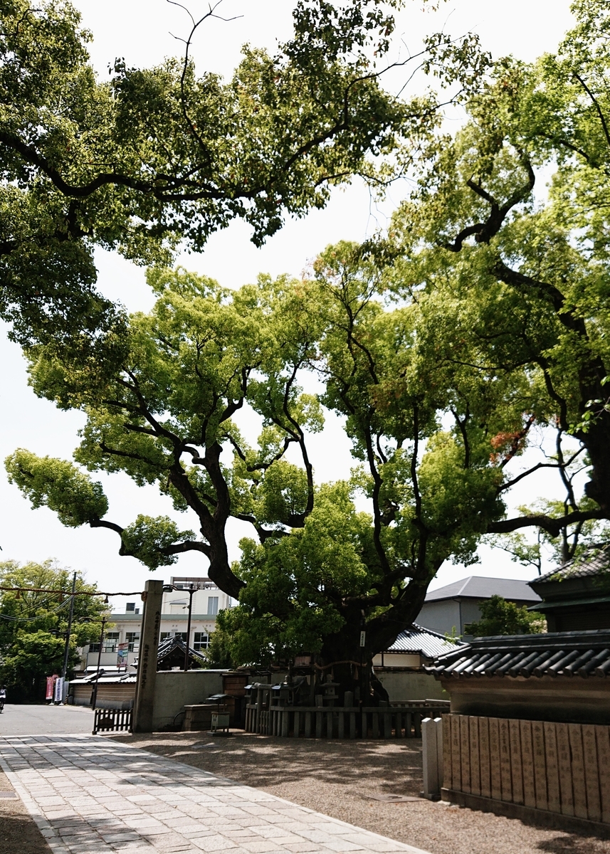 f:id:Kaimotu_Hatuji:20210430090800j:plain