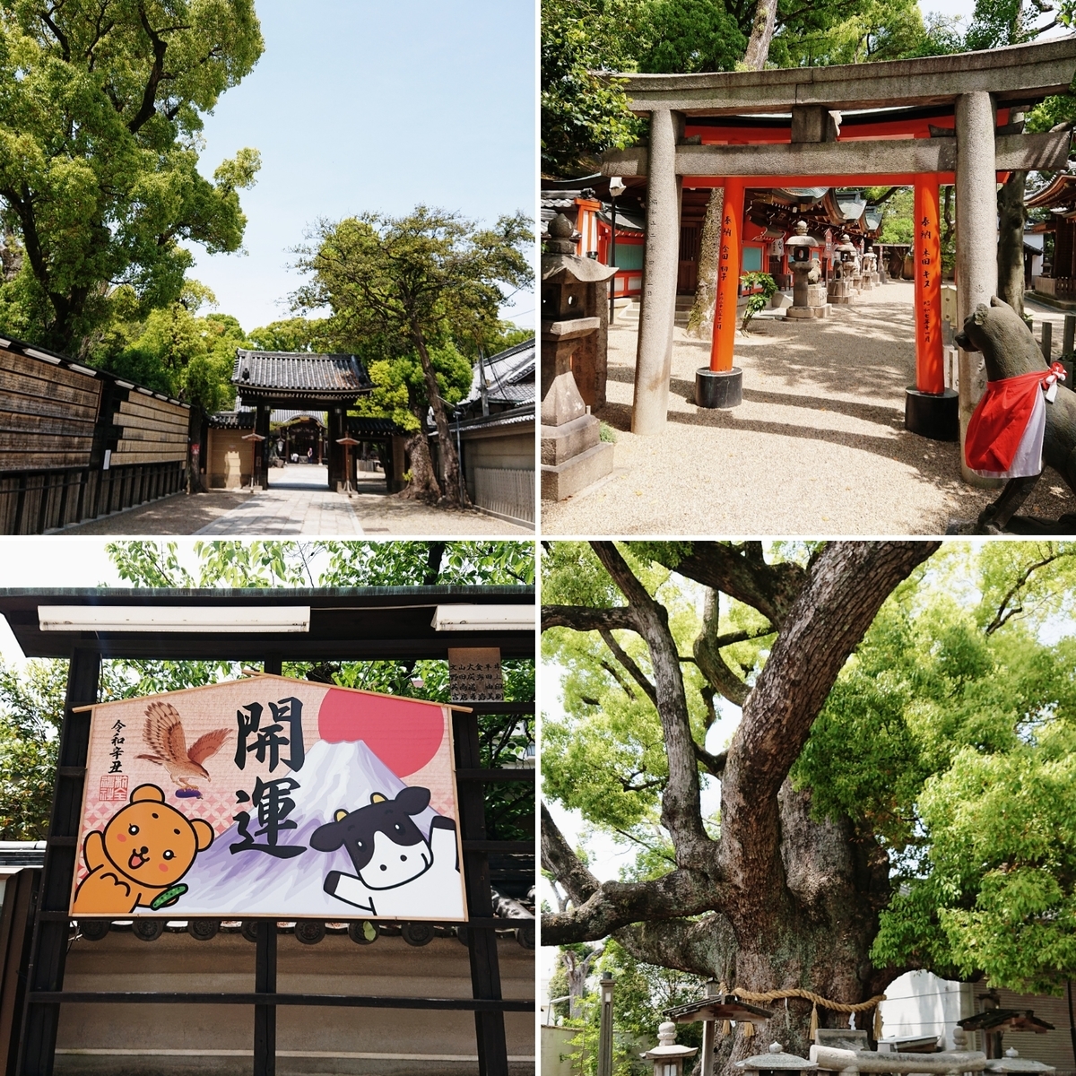 f:id:Kaimotu_Hatuji:20210430134329j:plain