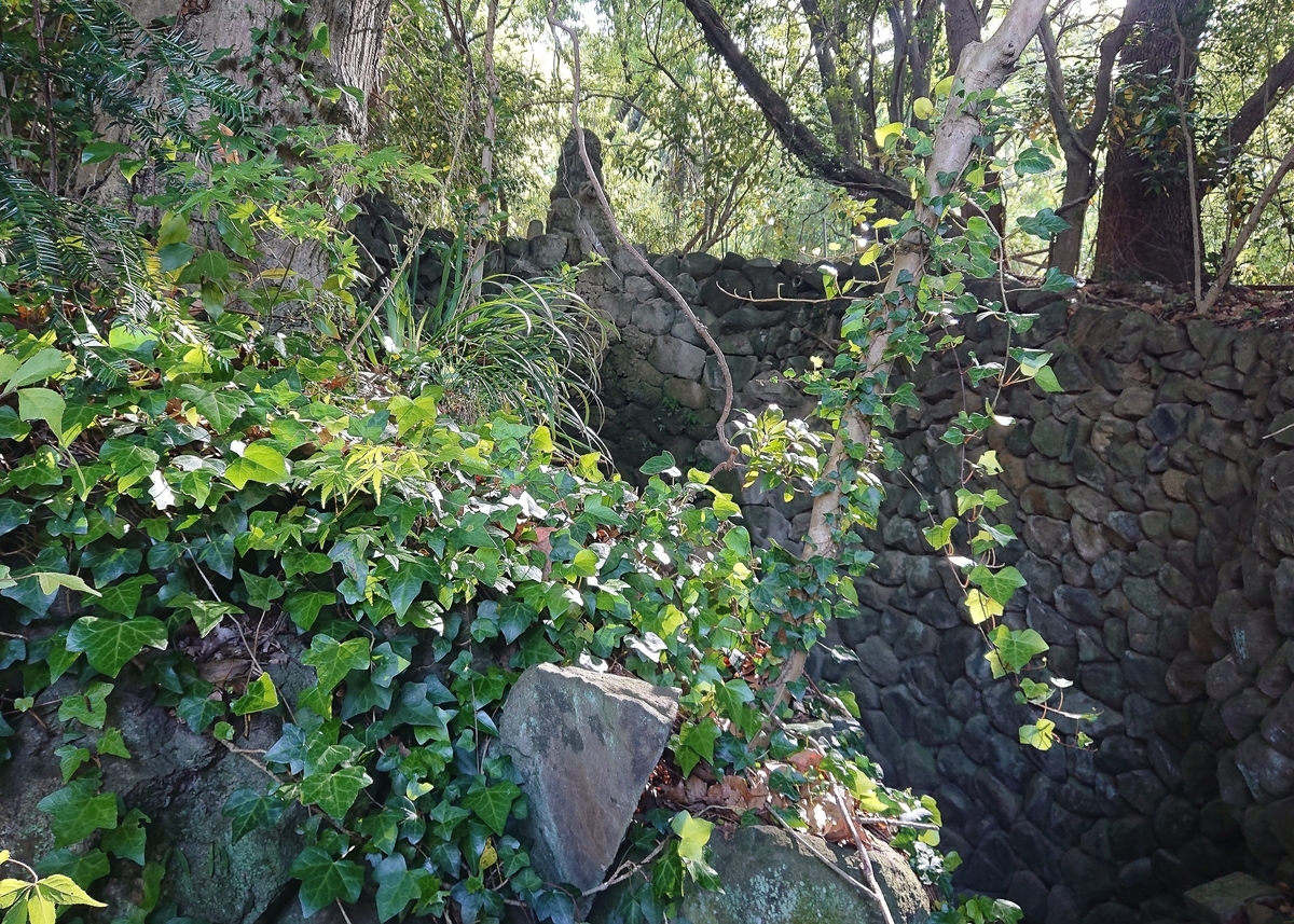 f:id:Kaimotu_Hatuji:20210505184510j:plain