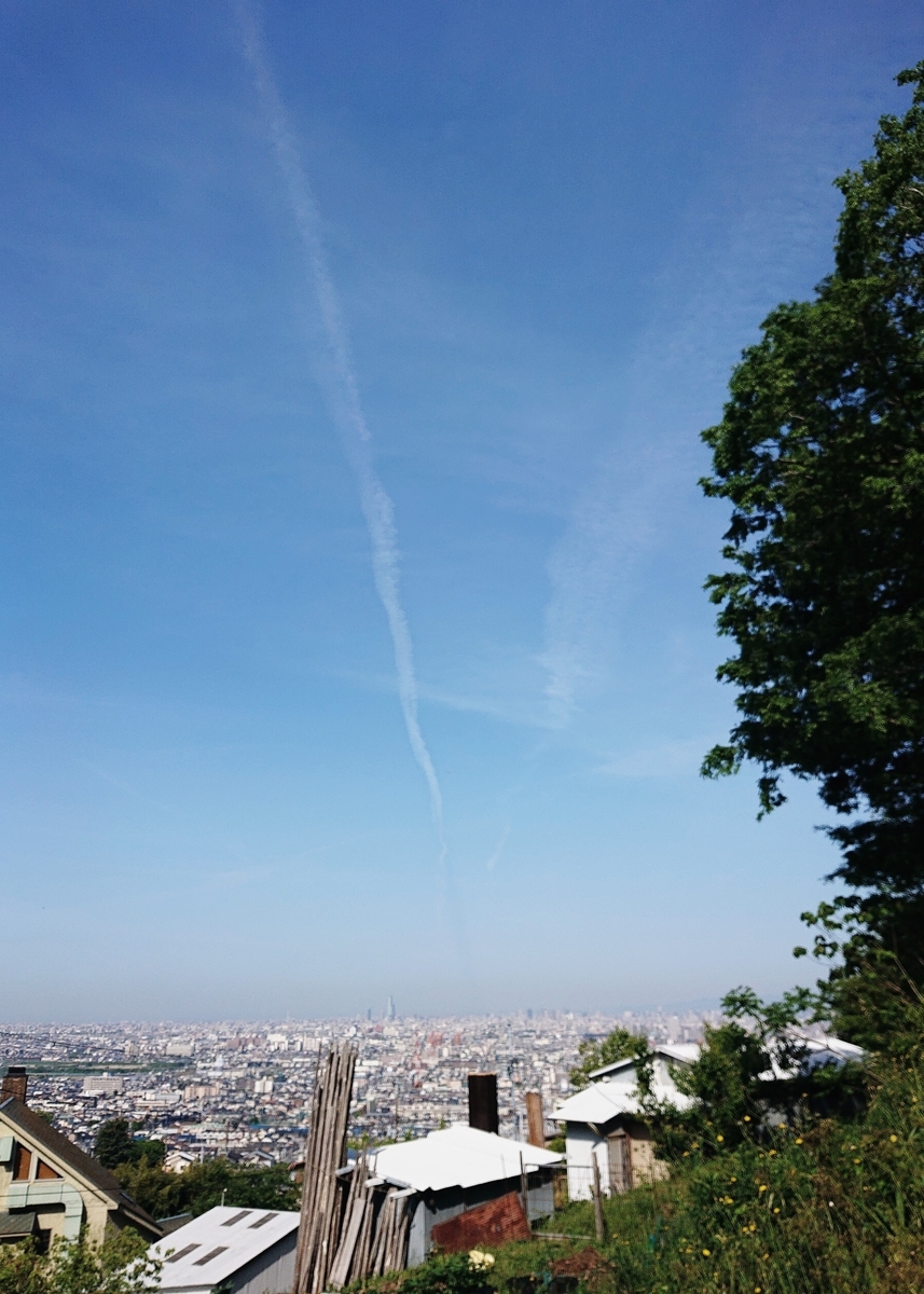 f:id:Kaimotu_Hatuji:20210505184559j:plain