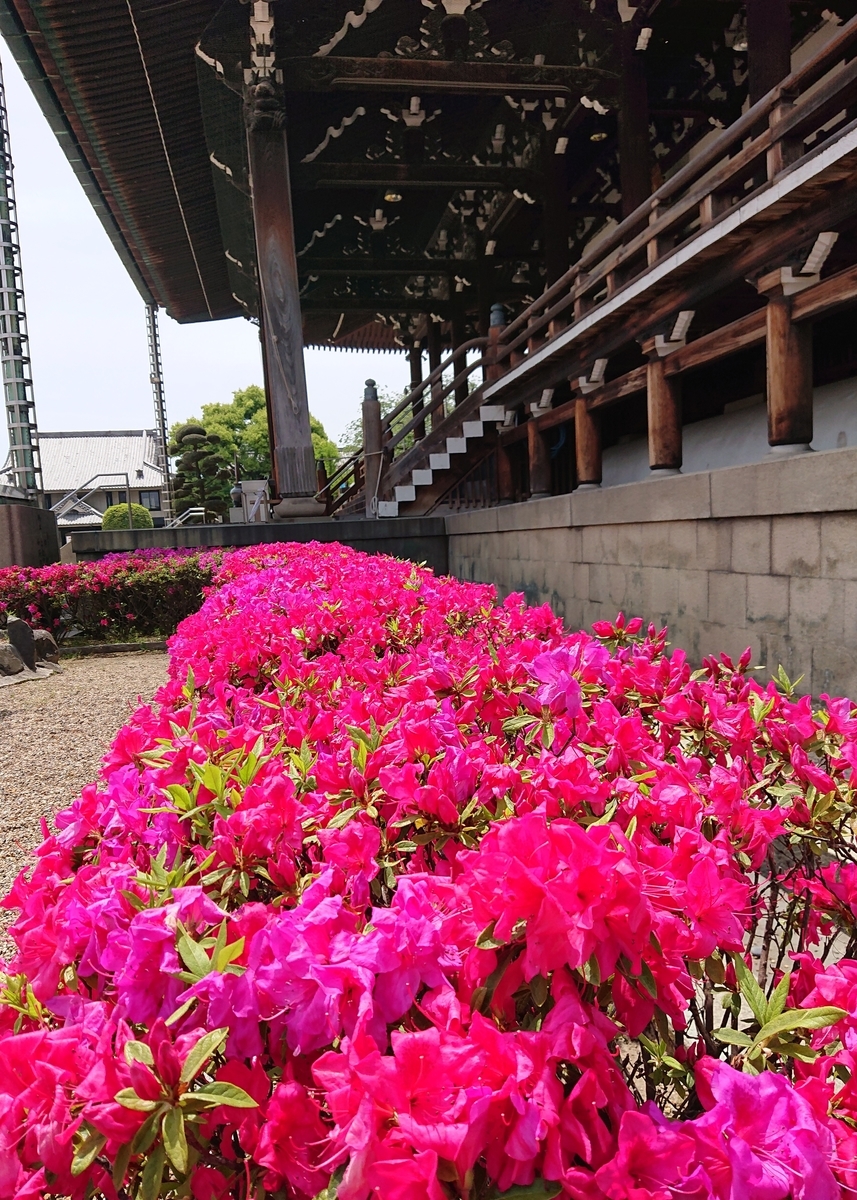 f:id:Kaimotu_Hatuji:20210507170634j:plain