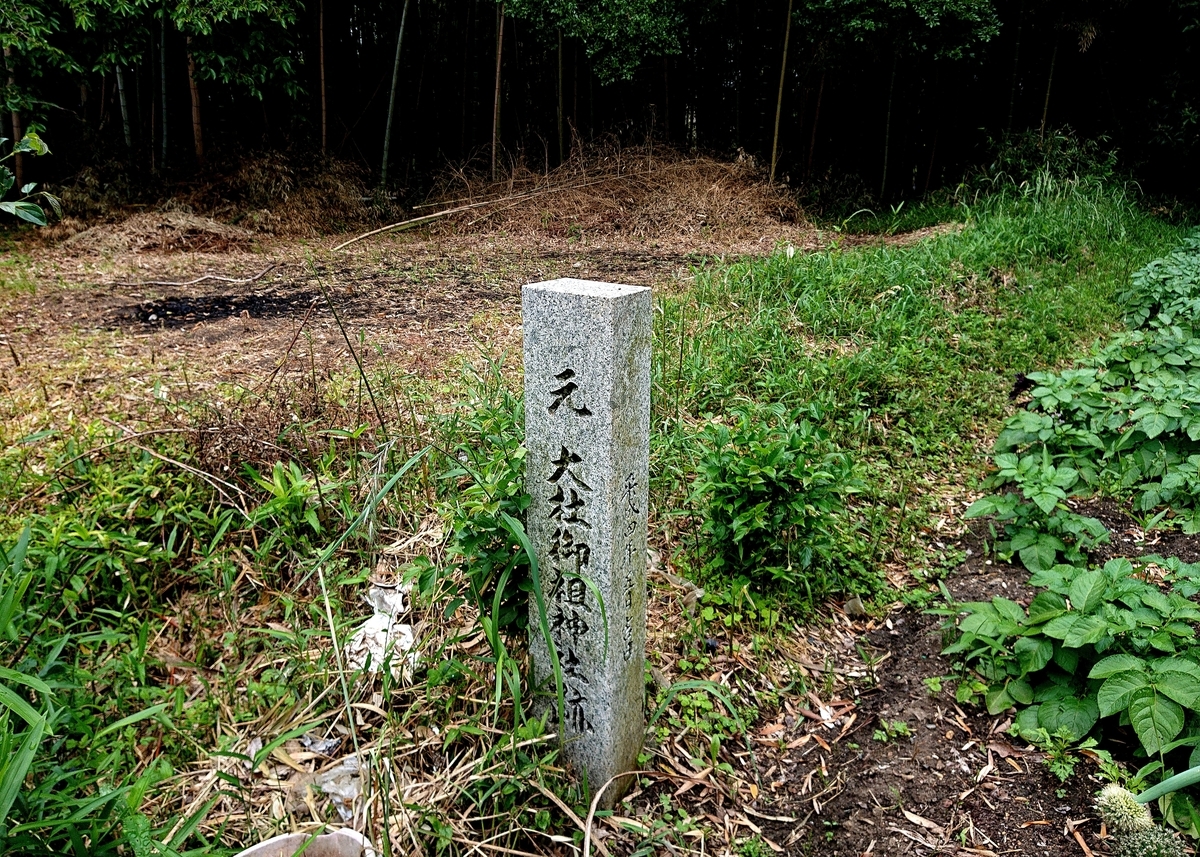 f:id:Kaimotu_Hatuji:20210522094457j:plain