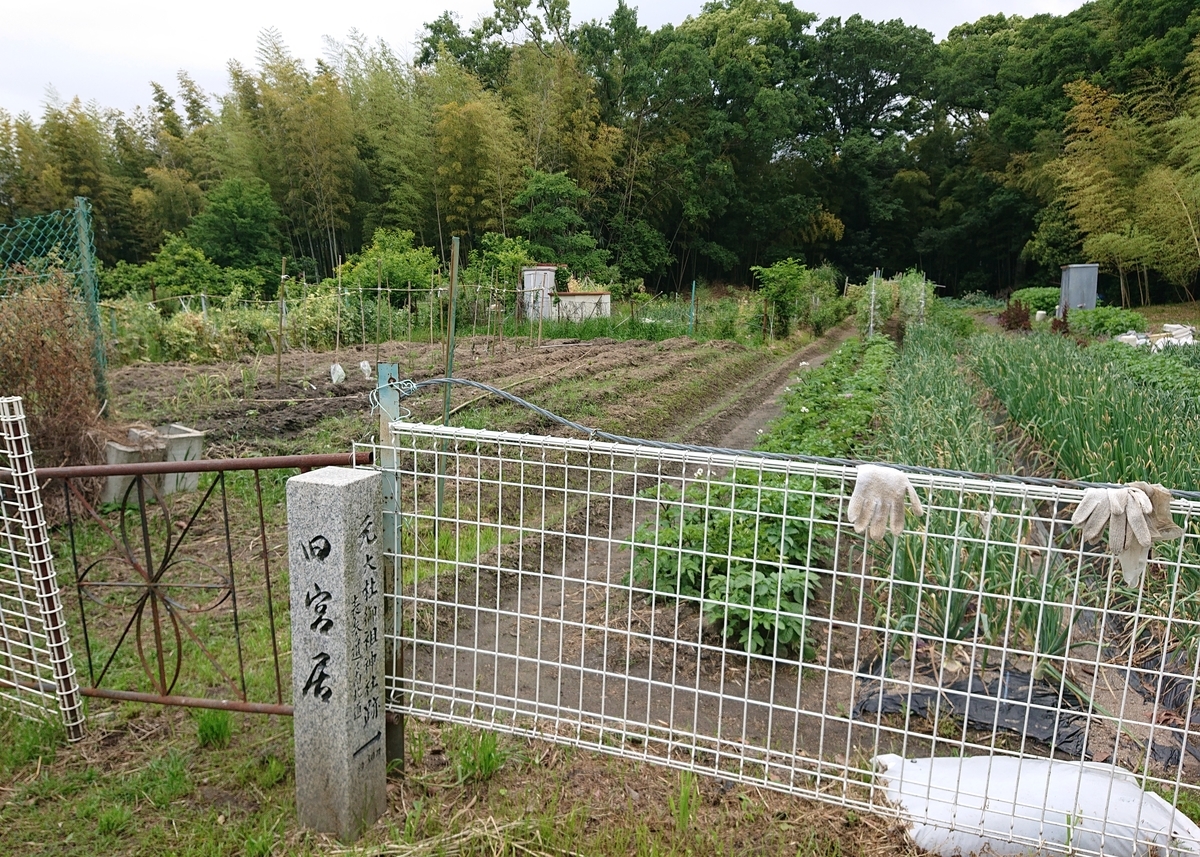 f:id:Kaimotu_Hatuji:20210522094518j:plain