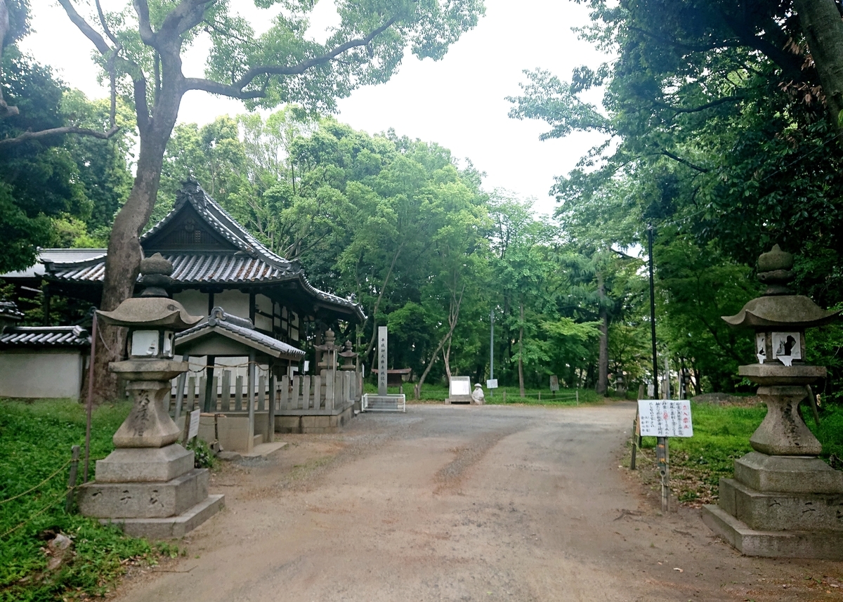 f:id:Kaimotu_Hatuji:20210522094727j:plain