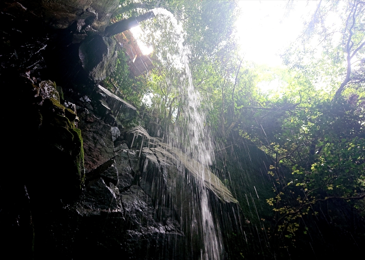 f:id:Kaimotu_Hatuji:20210609083207j:plain