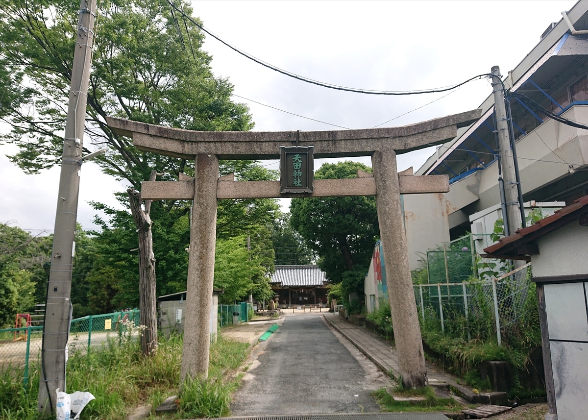 f:id:Kaimotu_Hatuji:20210621130532j:plain