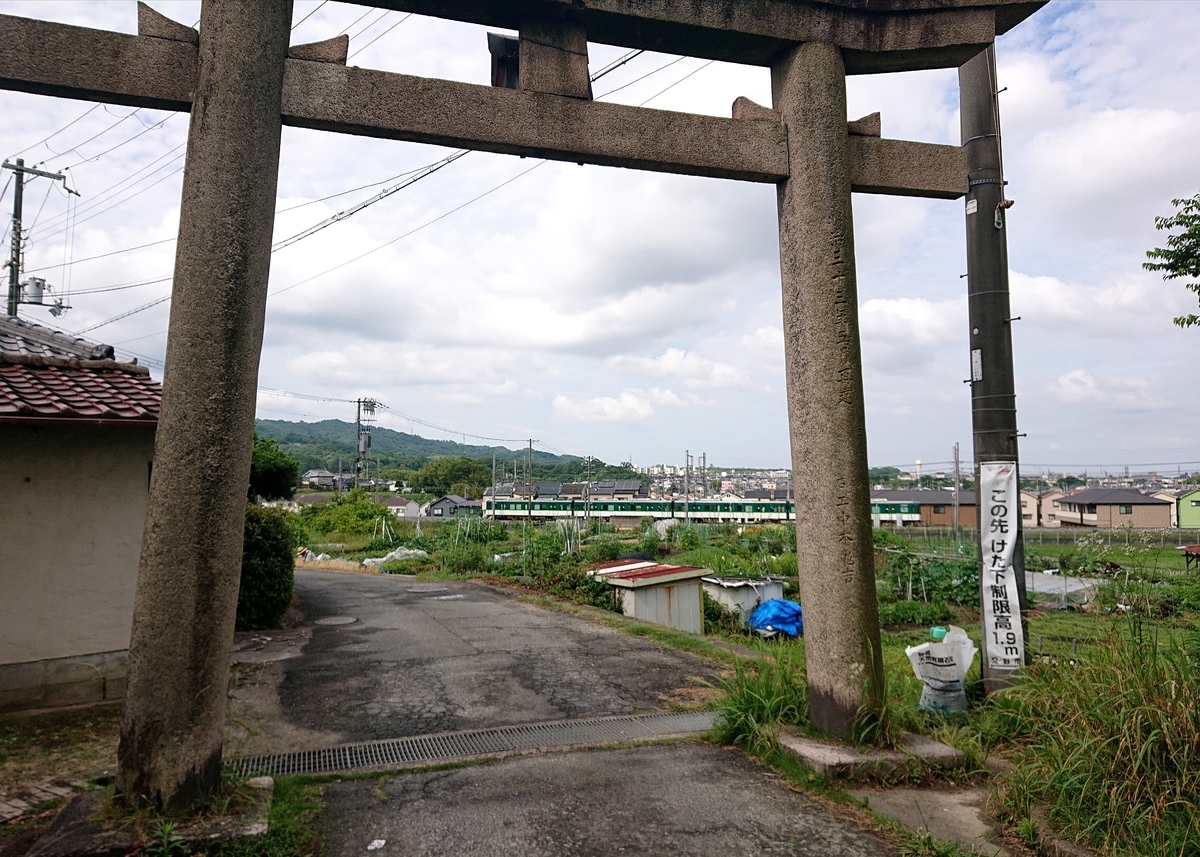f:id:Kaimotu_Hatuji:20210621130600j:plain