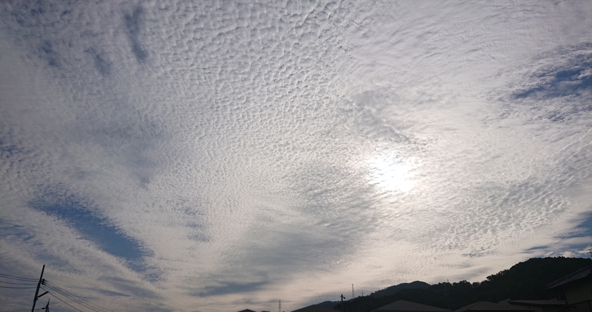 f:id:Kaimotu_Hatuji:20210621130735j:plain