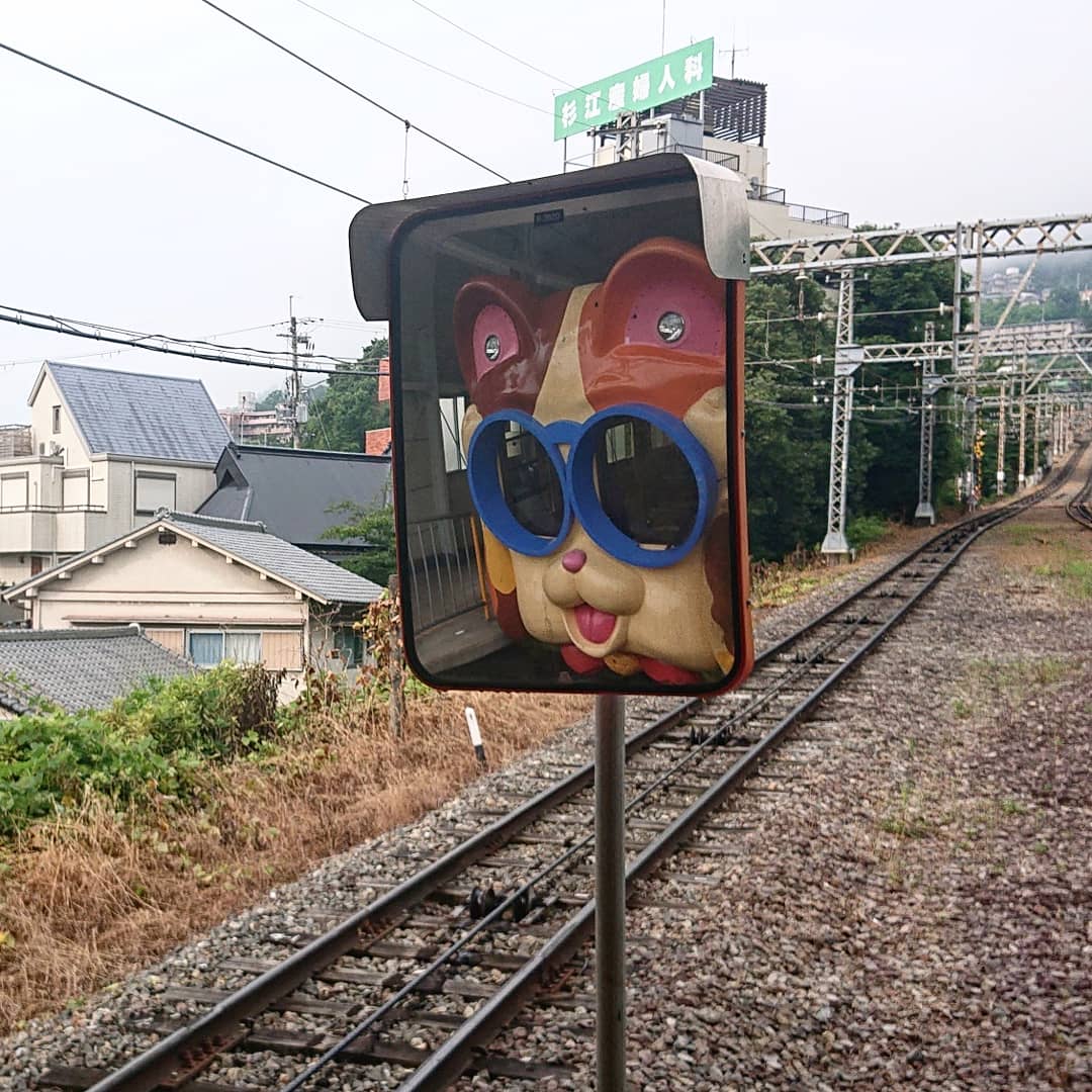 f:id:Kaimotu_Hatuji:20210626144832j:plain