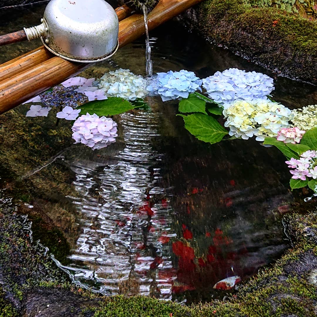 f:id:Kaimotu_Hatuji:20210627142006j:plain