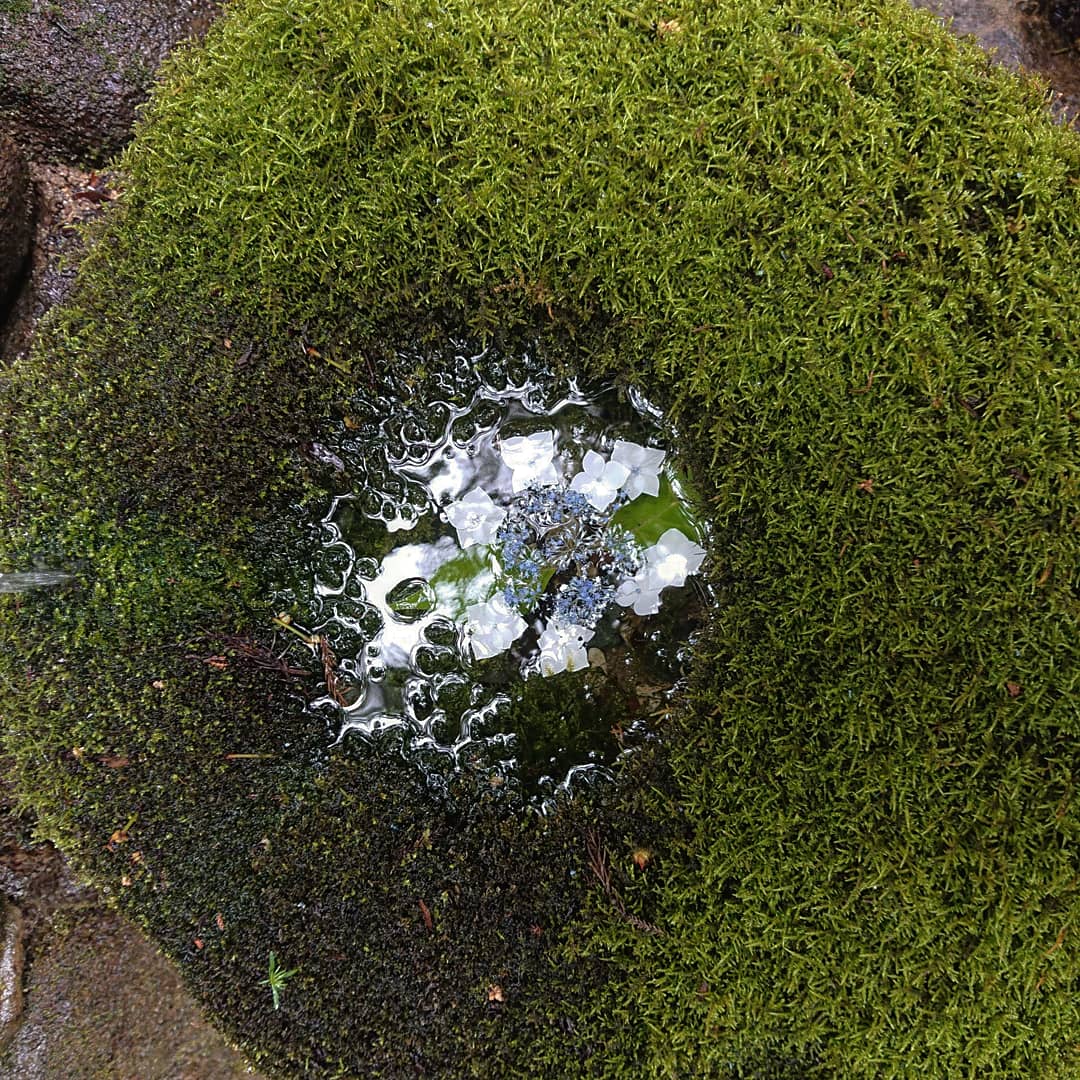 f:id:Kaimotu_Hatuji:20210627142205j:plain