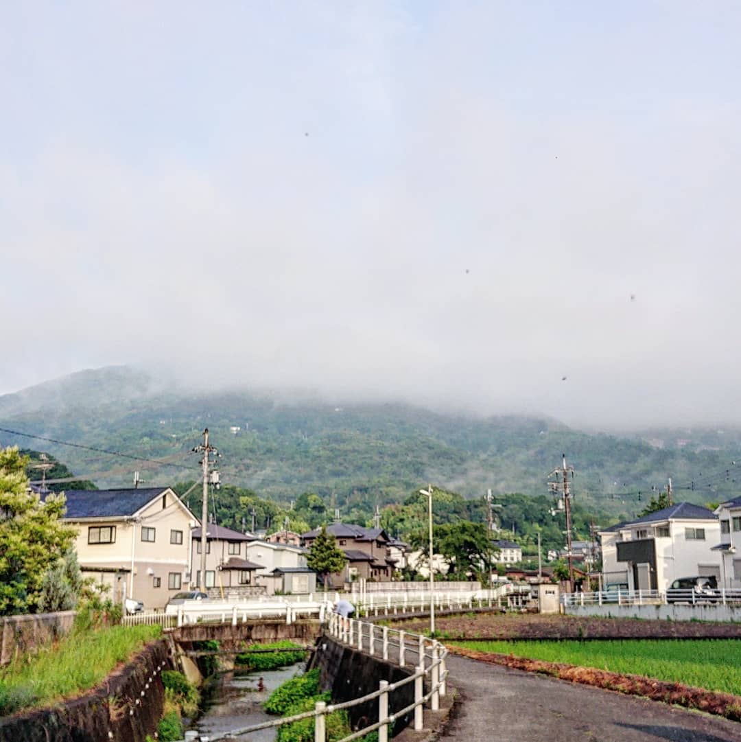 f:id:Kaimotu_Hatuji:20210627162509j:plain