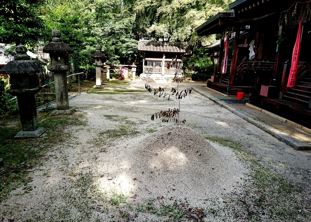 f:id:Kaimotu_Hatuji:20210709171744j:plain