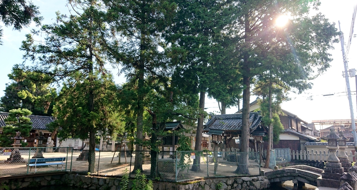 f:id:Kaimotu_Hatuji:20210717153127j:plain