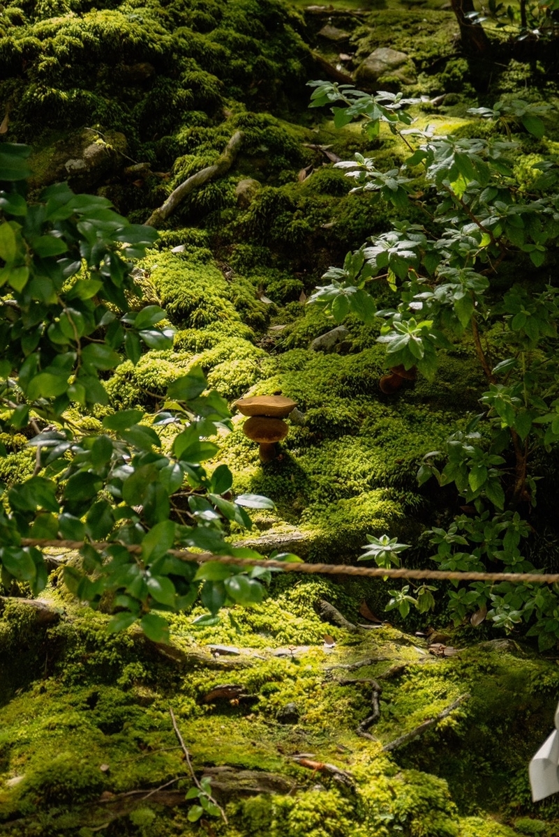 f:id:Kaimotu_Hatuji:20210721125559j:plain