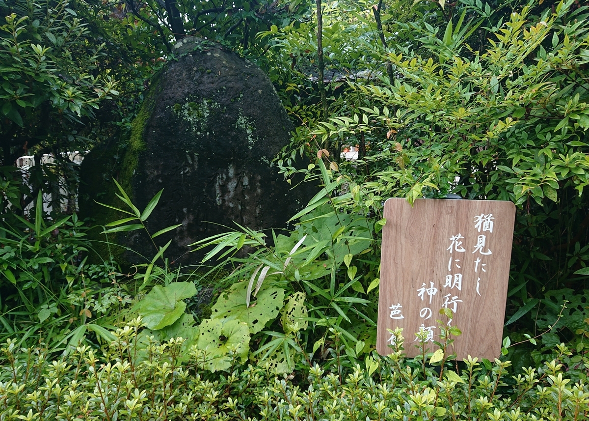 f:id:Kaimotu_Hatuji:20210725124833j:plain