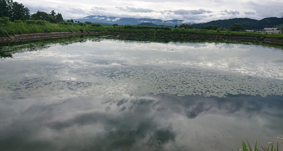 f:id:Kaimotu_Hatuji:20210725135509j:plain